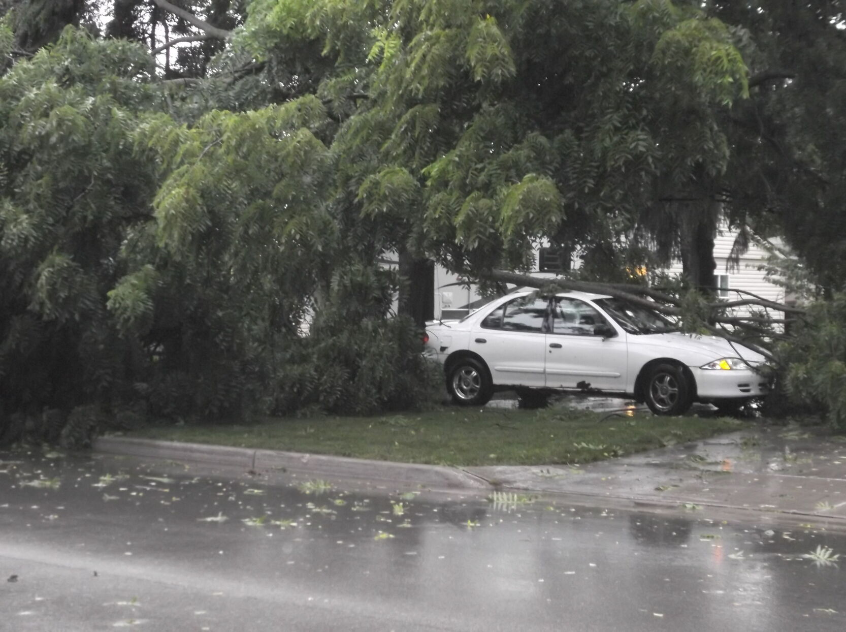 A large limb of a tree fallen on a car on the 3400 block of Indiana Avenue Monday afternoon.